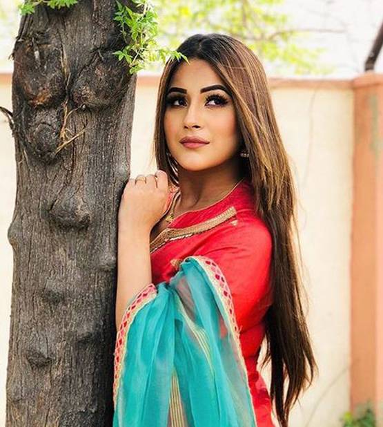 एविक्शन के डर से डिप्रेशन में शहनाज, सिद्धार्थ शुक्ला ने दिया सहारा