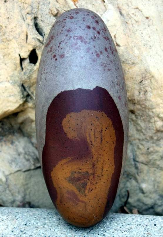 नासा का 'शिव विज्ञान', पृथ्वी पर पहला DNA शिवलिंग से आया?