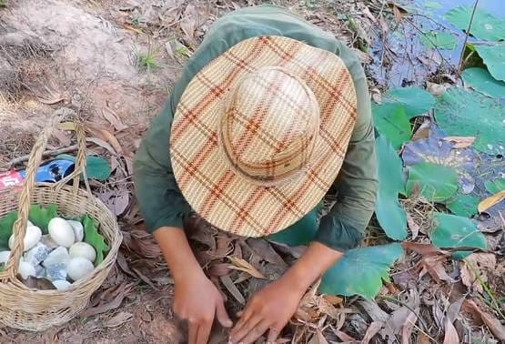 सांप के बिल में डाला कोल्डड्रिंक, निकले इतने सांप कि देखकर चौंक जाएंगे