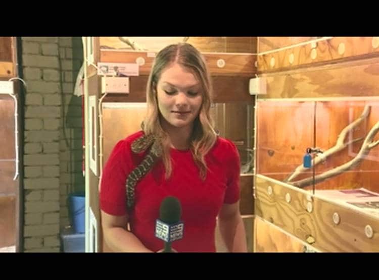 कंधे पर सांप, हाथ में माइक, मह‍िला र‍िपोर्टर के बोलते ही हुआ कुछ ऐसा...