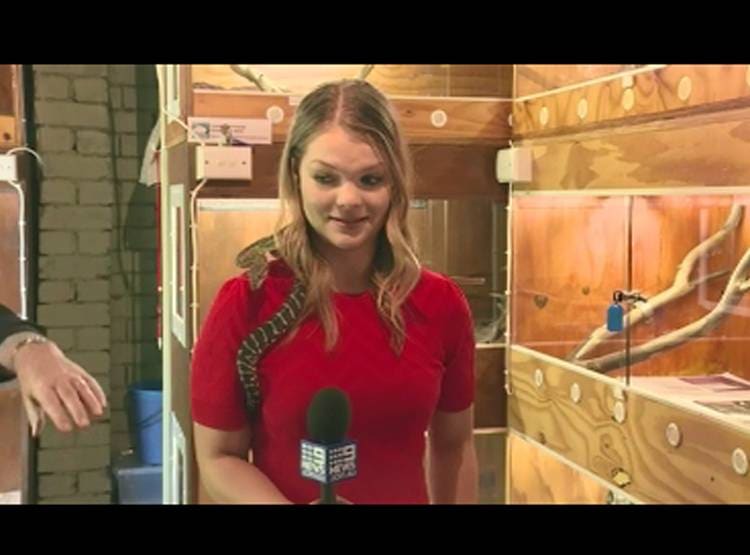 कंधे पर सांप, हाथ में माइक, मह‍िला र‍िपोर्टर के बोलते ही हुआ कुछ ऐसा...