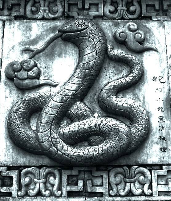 जन्म के साल से जानिए, आपके लिए कैसा रहेगा 2020