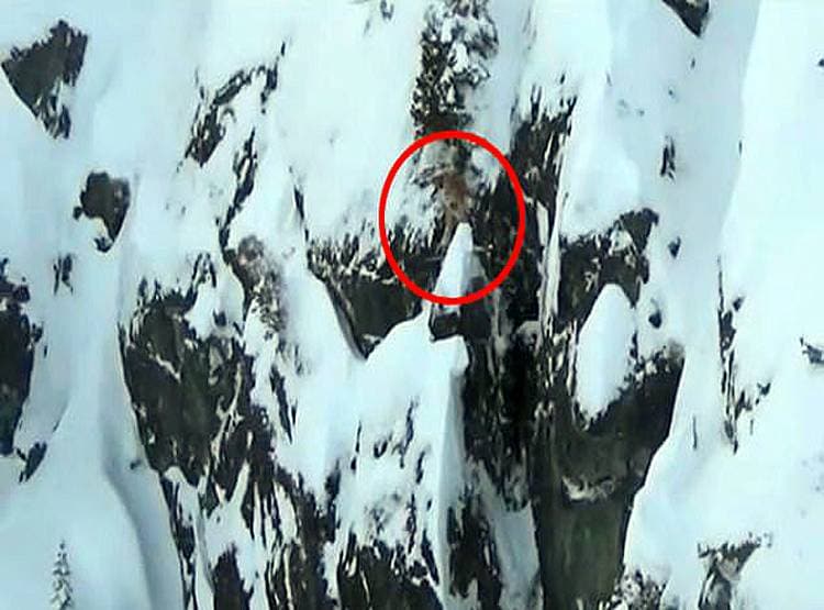 2 घंटे हलक में अटकी रही सांस, बर्फीली पहाड़ी पर लटका रहा युवक