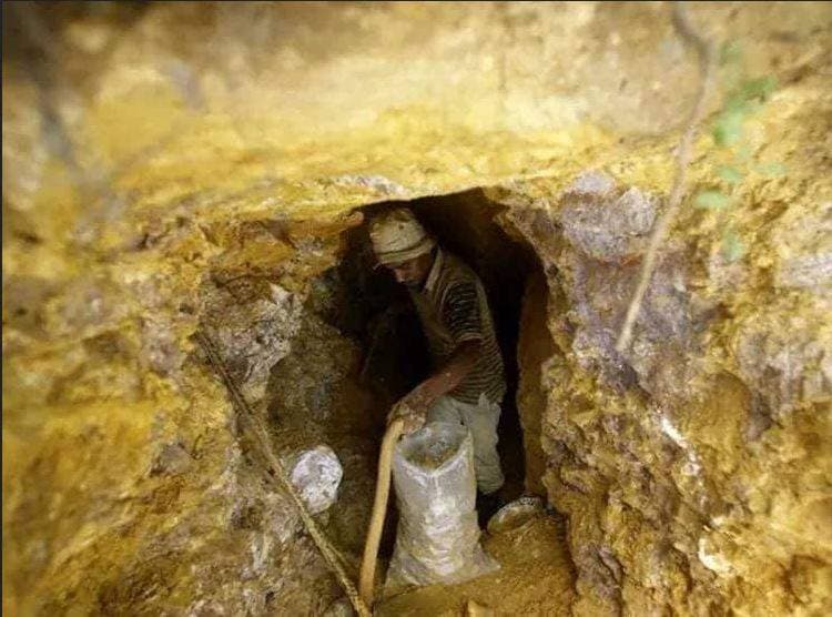 सोनभद्र: सोने के खजाने पर जहरीले सांपों की फौज का पहरा,कैसे होगी खुदाई