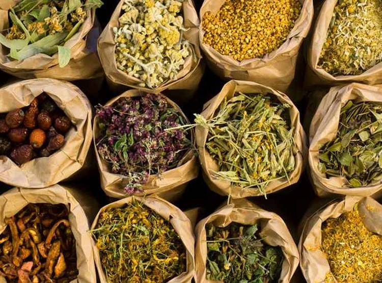 सोनभद्र में हुई खुदाई तो उजड़ जाएगा आदिवासियों का ये बेशकीमती 'खजाना'