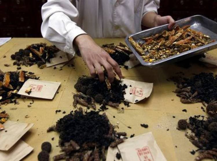 सोनभद्र में हुई खुदाई तो उजड़ जाएगा आदिवासियों का ये बेशकीमती 'खजाना'