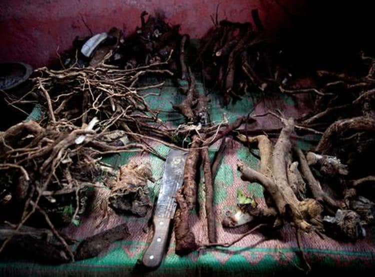 सोनभद्र में हुई खुदाई तो उजड़ जाएगा आदिवासियों का ये बेशकीमती 'खजाना'