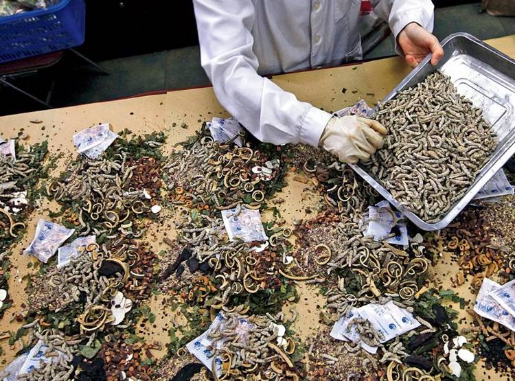 सोनभद्र में हुई खुदाई तो उजड़ जाएगा आदिवासियों का ये बेशकीमती 'खजाना'