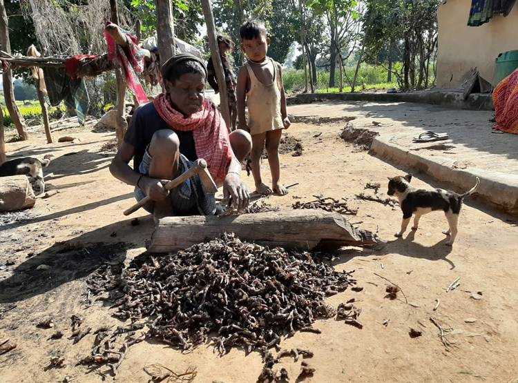 सोनभद्र में हुई खुदाई तो उजड़ जाएगा आदिवासियों का ये बेशकीमती 'खजाना'