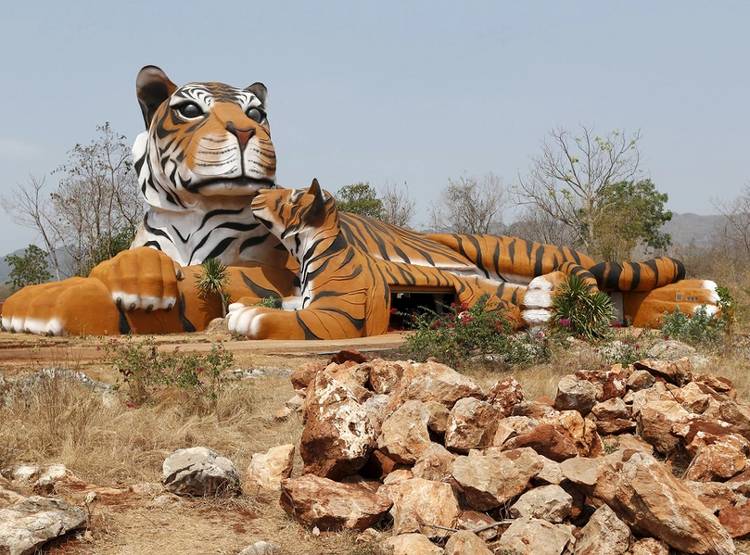 झारखंड: बाघों को बचाने का फरमान, शिकारियों को गोली मारने के आदेश