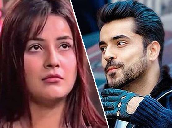 शहनाज को हो गया घमंड? गौतम गुलाटी ने लगाई क्लास