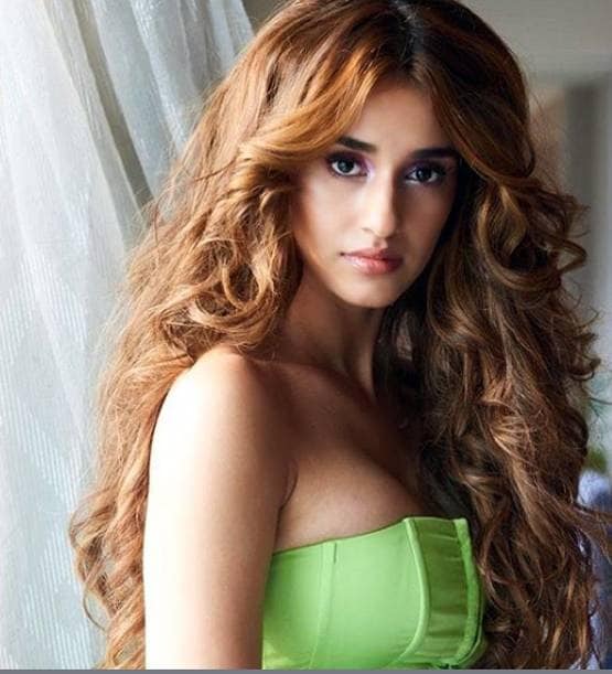 बॉलीवुड में एंट्री के बाद ग्लैमरस हुईं दिशा पटानी, देखें THEN & NOW