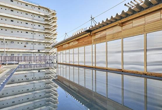 क्या रद्द हो सकता है इस साल होने वाला टोक्यो ओलंपिक ? ये है वजह