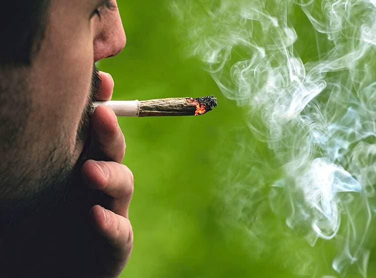 पड़ोसी देश के 46 सांसद बोले- गांजे-भांग की खेती हो, शराब बैन हो