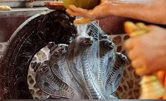 महाशिवरात्रि पर भूलकर भी न करें ये 10 काम, नाराज हो जाएंगे महादेव