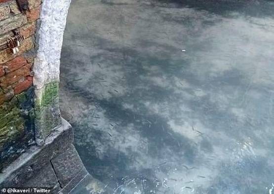 भारत, चीन, अमेरिका से न हुआ जो काम कोरोना ने पलक झपकते ही कर दिखाया