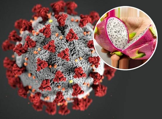 Corona virus: इम्यूनिटी बढ़ाने के लिए शरीर को चाहिए ये 3 विटामिन