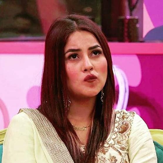 शहनाज ने बताया पार्टनर में क्या खूबियां चाहिए, सिद्धार्थ से है कनेक्शन!