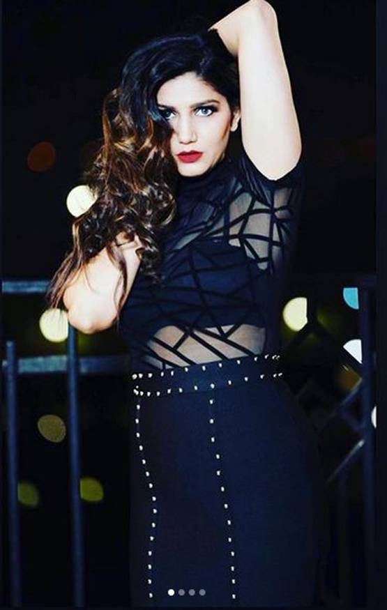 सपना चौधरी ने की गुपचुप सगाई, इस मिस्ट्री मैन से जल्द करेंगी शादी!