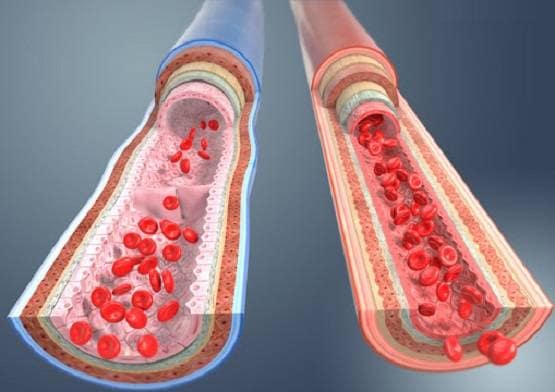 दिल्ली में भी कोरोना की दस्तक, वायरस से शरीर में आने लगते हैं ये बदलाव