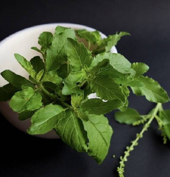 Corona Virus: बचने के लिए आज ही डाइट में शामिल करें 7 चीज