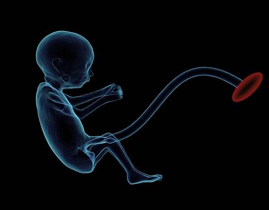 कोरोना से सबसे कम उम्र की महिला की मौत, डिलीवरी के बाद तोड़ा दम