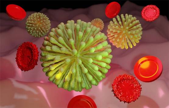 कोरोना वायरस से इटली में क्यों हो रही पुरुषों की ज्यादा मौत? ये है वजह