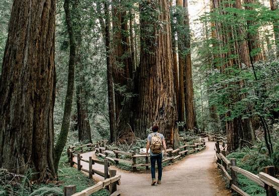 पार्क में बढ़ रही पुरुष सेक्स वर्कस की तादाद, एक दस्तावेज बन गया फांस