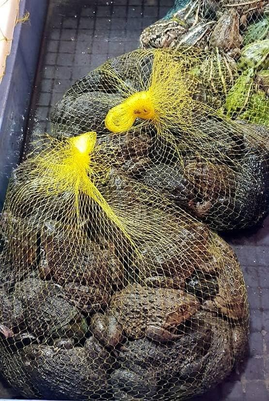 चीन नहीं करता ये गलती तो कोरोना वायरस के कहर से बच जाती दुनिया