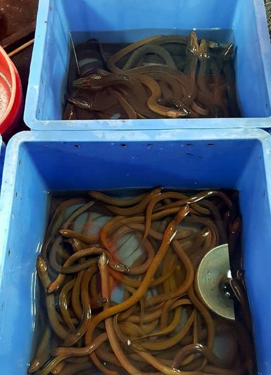 चीन नहीं करता ये गलती तो कोरोना वायरस के कहर से बच जाती दुनिया