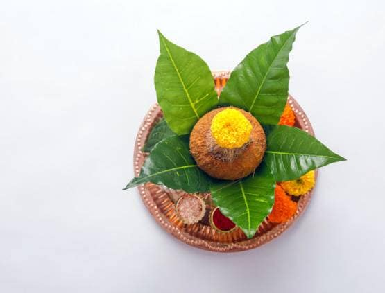 25 मार्च से चैत्र नवरात्र शुरू, जानें कलश स्थापना का शुभ मुहूर्त और नियम