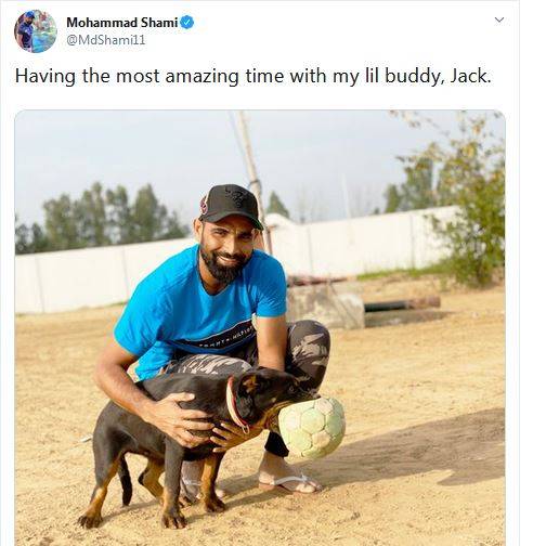 कोरोना: शमी ने डॉगी के साथ शेयर की फोटो तो फैंस ने लगाई लताड़