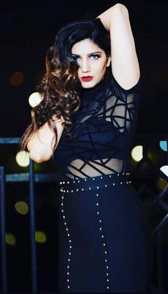 ब्लैक ड्रेस में सपना चौधरी का किलर लुक, फैंस बोले- तबाही