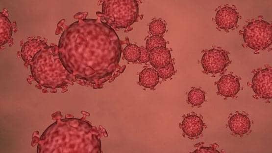 कोरोना वायरस से बचाव है जरूरी, इस एक आदत से रहें बिल्कुल दूर