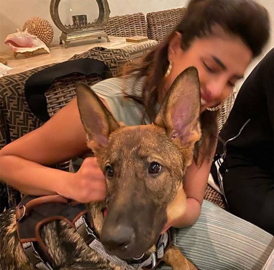 कोरोना की वजह से घर में कैद स्टार्स, योगा से लेकर कर रहे घर साफ