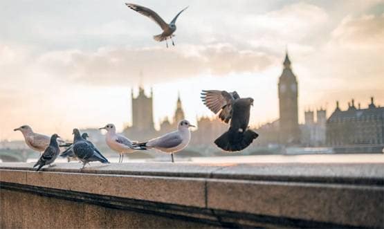 क्या कोरोना वायरस के जरिए अपना बदला ले रही है प्रकृति?