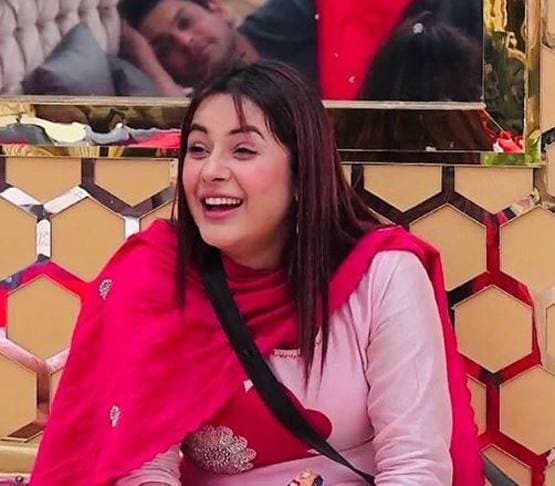 भाई-बहन में तू तू-मैं मैं, शहबाज ने दी गाली तो फूट-फूटकर रोईं शहनाज