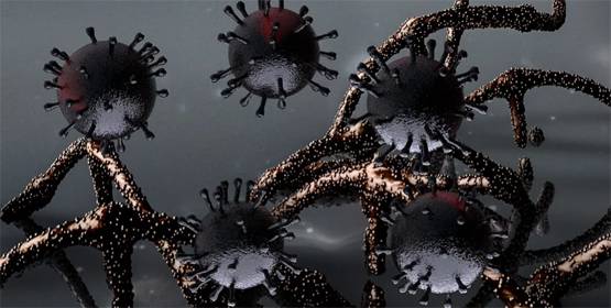 कोरोना के खतरे को और बढ़ाती है ये दवा? जानें क्या कहता है WHO