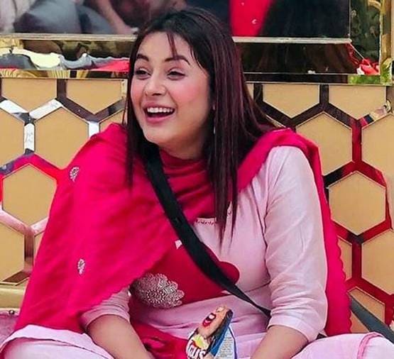 शहनाज पर भड़कीं रोडीज विनर, टीवी पर वर्जिनिटी पूछने पर उठाए सवाल