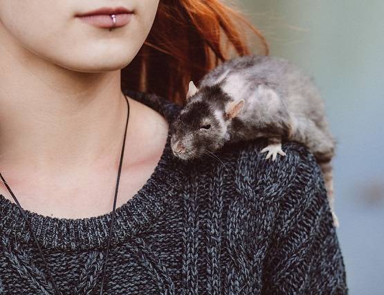 मार्च में जन्मे लोगों की आंख में धूल झोंकना मुश्किल, जानें 10 खासियत