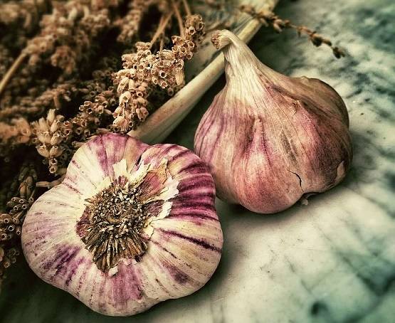 कल से शुरू हो रहे हैं नवरात्र, जानिए- क्या करें, क्या न करें