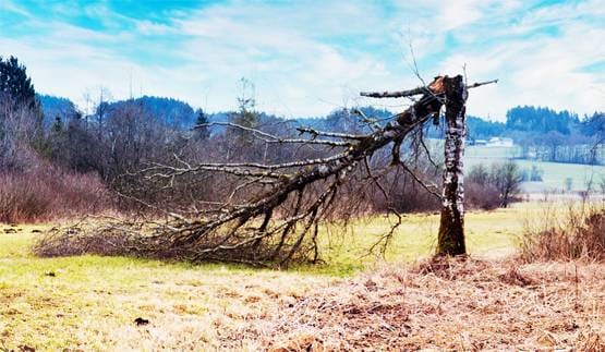 क्या कोरोना वायरस के जरिए अपना बदला ले रही है प्रकृति?