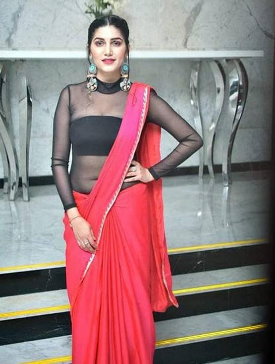 सपना चौधरी ने की गुपचुप सगाई, इस मिस्ट्री मैन से जल्द करेंगी शादी!