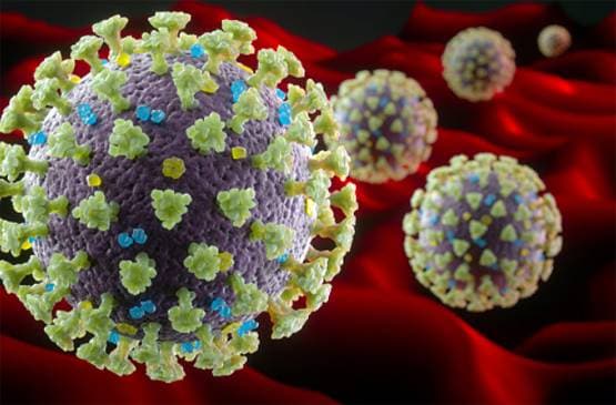 कोरोना से कैसे बचें? इन वस्तुओं पर इतने घंटे तक रहता है वायरस