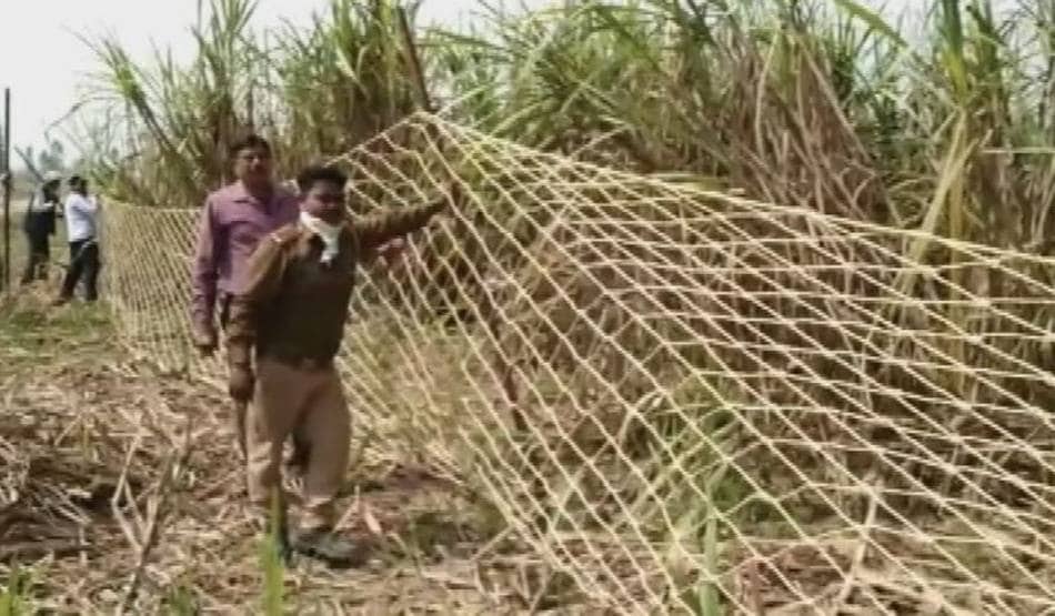 लॉकडाउन के बीच सड़कों पर घूम रही बाघिन, दहशत में दो दर्जन गांव