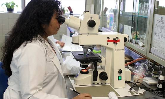 चीन के डॉक्टरों का दावा- कोरोना से बचाने में कारगर है जापानी दवा