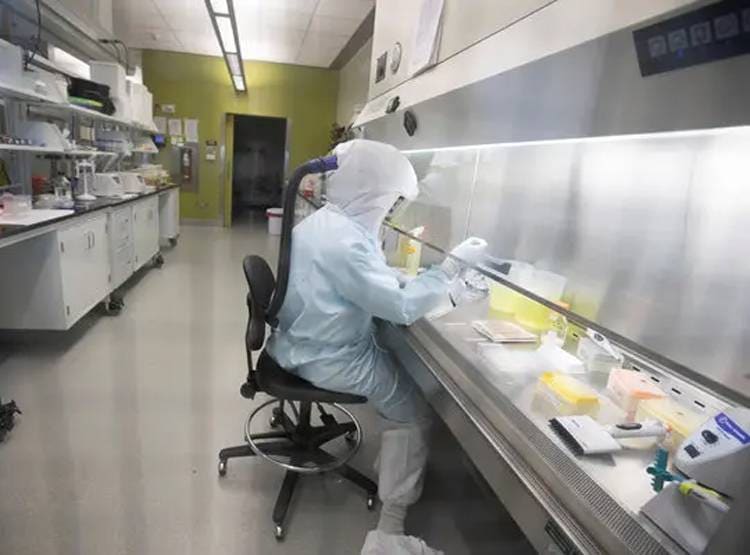 इजराइल ने किया कोरोना वायरस की वैक्सीन बनाने का दावा