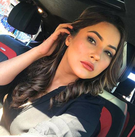 BB की एंटरटेनमेंट क्वीन शहनाज क्यों 'मुझसे शादी करोगे' में दिख रहीं बोरिंग?