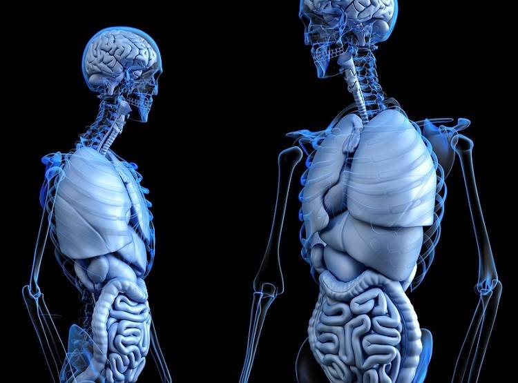 डायबिटीज-हाई ब्लड प्रेशर वालों के लिए ज्यादा खतरनाक क्यों कोरोना?