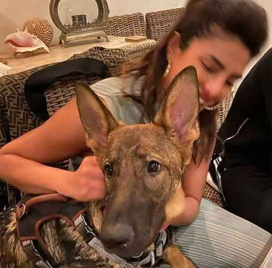 कोरोना वायरस के कहर के बीच सेल्फ आइसोलेशन में बॉलीवुड स्टार्स, Photos